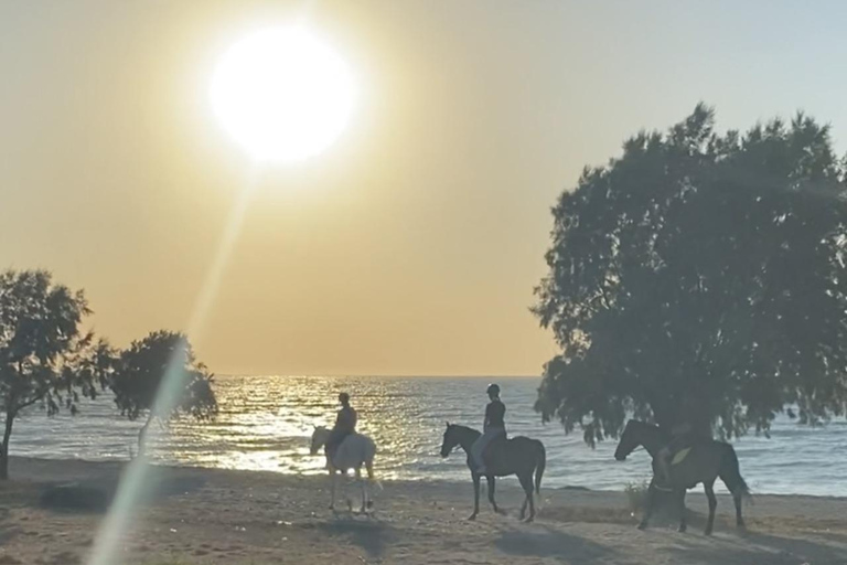 جزيرة رودس: ركوب الخيل على الشاطئ عند غروب الشمس