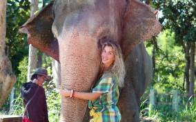 Chiang Mai: Elephant Sanctuary Guided Tour in Spanish