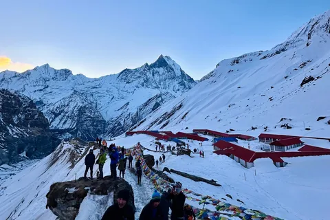 Da Pokhara: Tour di 7 giorni del Campo Base dell'Annapurna e di Chitwan