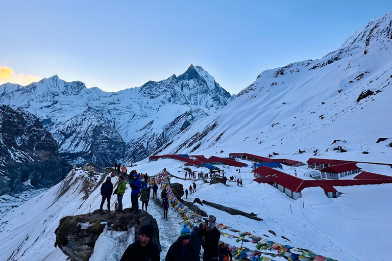 Pokhara: 7 Day Annapurna Base Camp Trek with Wildlife Tour