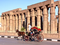 Hurghada, Excursión de un día de Luxor con Tumbas Hatshepsut y Tutankhamun - Hizvo