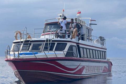 Gili Islands/Lombok: Fast Boat to Bali & Nusa Penida Nusa Penida to Sanur