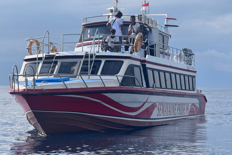 Gili Islands/Lombok: Fast Boat to Bali & Nusa Penida Nusa Penida to Sanur
