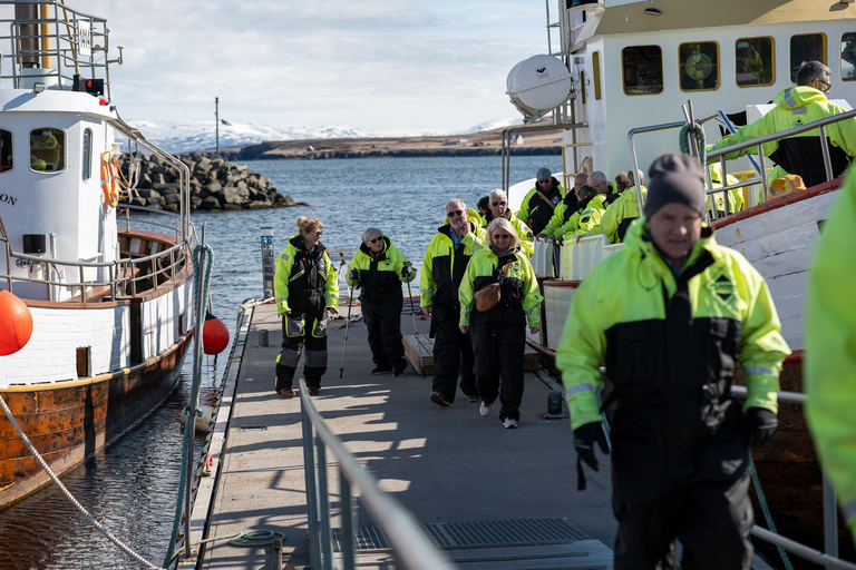 Akureyri: Whale Watching Tour with Transfer from Port