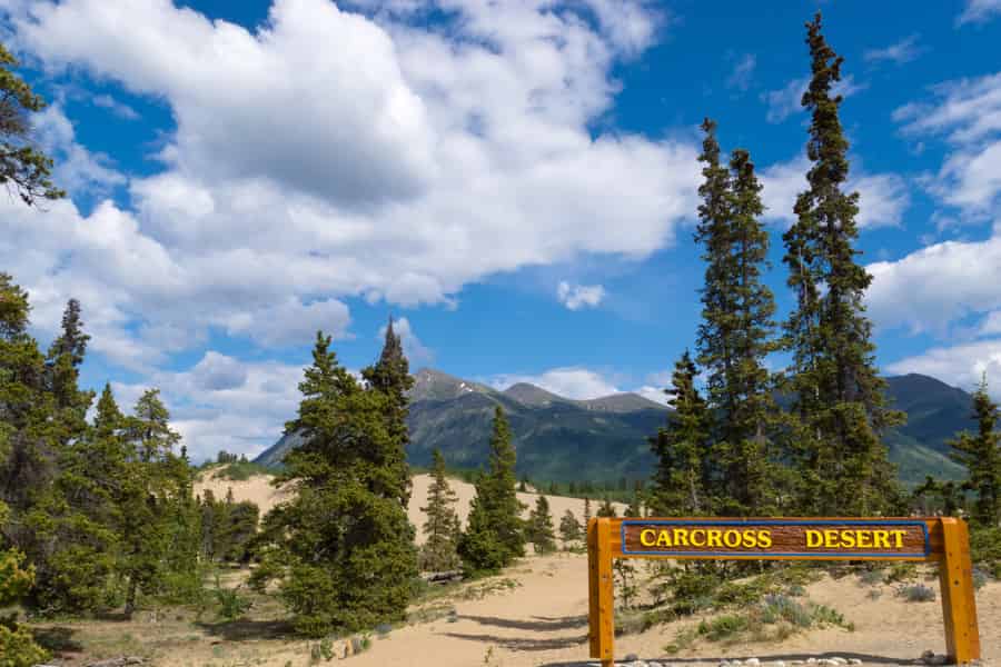 Private Tour durch den Yukon: Seen, Wildnis und versteckte Schätze. Foto: GetYourGuide Private Tour durch den Yukon: Seen, Wildnis und versteckte Schätze. Foto: GetYourGuide