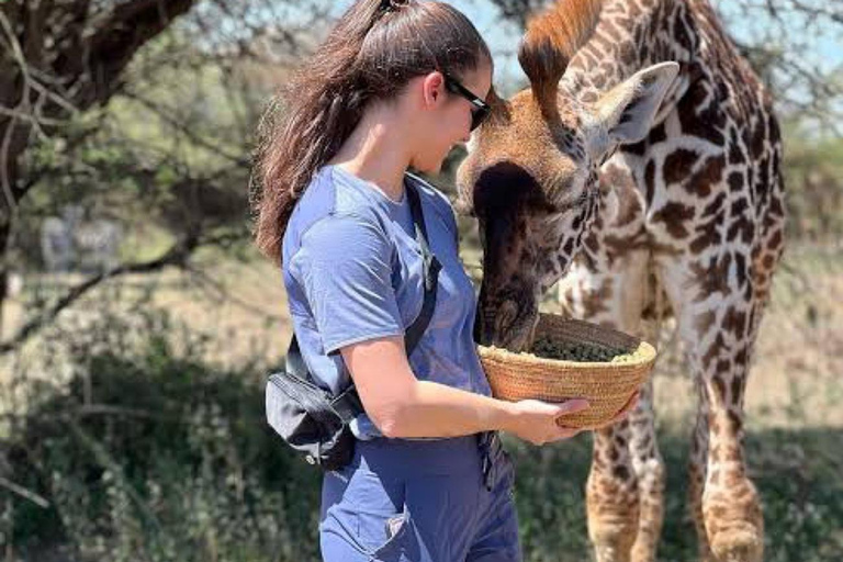 Arusha: Viagem de 1 dia com animais selvagens Serval com safari e almoço