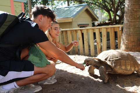 Orlando: Interactive Tortoise Encounter