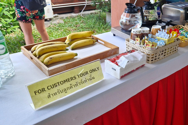 Koh Pha Ngan: Koh Tao & Nang Yuan Tour with Snorkel, Lunch Option 1: Hotel Pick up in Koh Pha Ngan