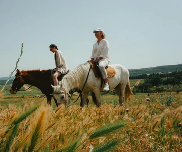 Tbilisi: Horseback Riding Experience