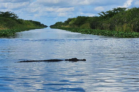 Everglades: en barco de propulsión plana con transporte