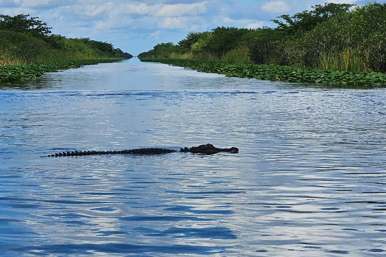 Everglades: em barco de propulsão plana com transporte