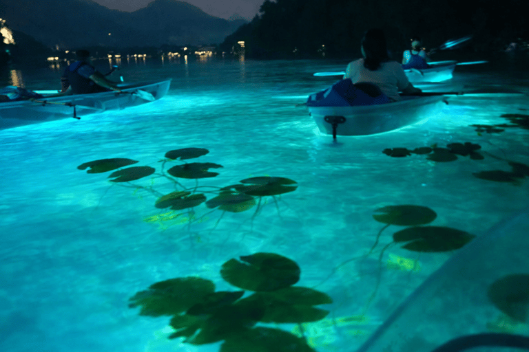 Bled: Transparent Kayak Tour with Local Guide on Lake Bled