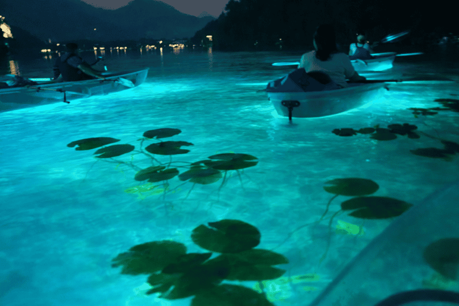Bled: Tour mit transparentem Kajak auf dem Bleder See mit ortskundigem Guide. Foto: GetYourGuide Bled: Tour mit transparentem Kajak auf dem Bleder See mit ortskundigem Guide. Foto: GetYourGuide