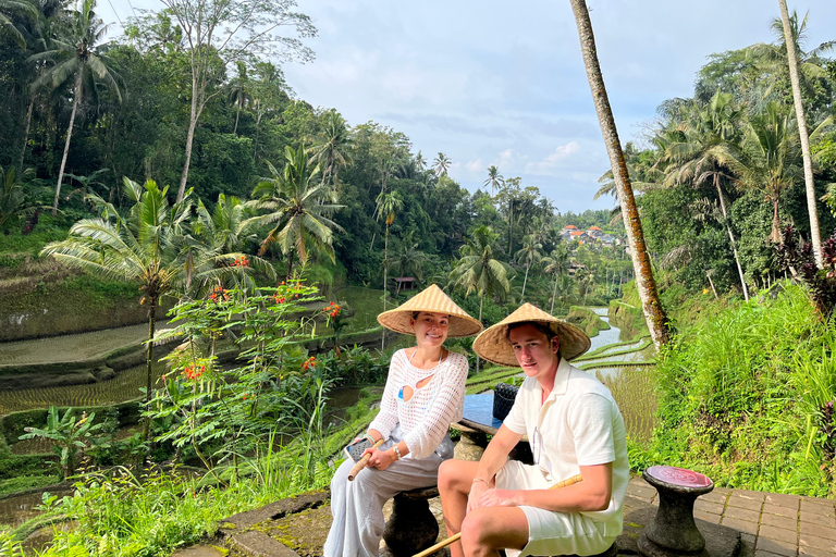 Ubud: Private Half-Day Tour Rice Terrace, Temple & Waterfall Private Half-Day Tour (With Entrance Tickets)