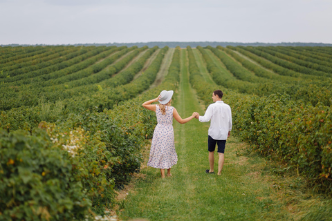 Bordeaux: Vineyard Horse Ride with Château Wine Tastings