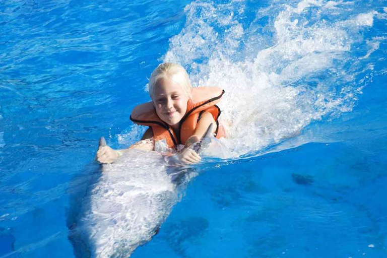 Side/Alanya: Swimming with Dolphins Swimming Dolphin