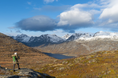 Tromsø: Midnight Sun Hike with Local Guides, Lunch & Photos