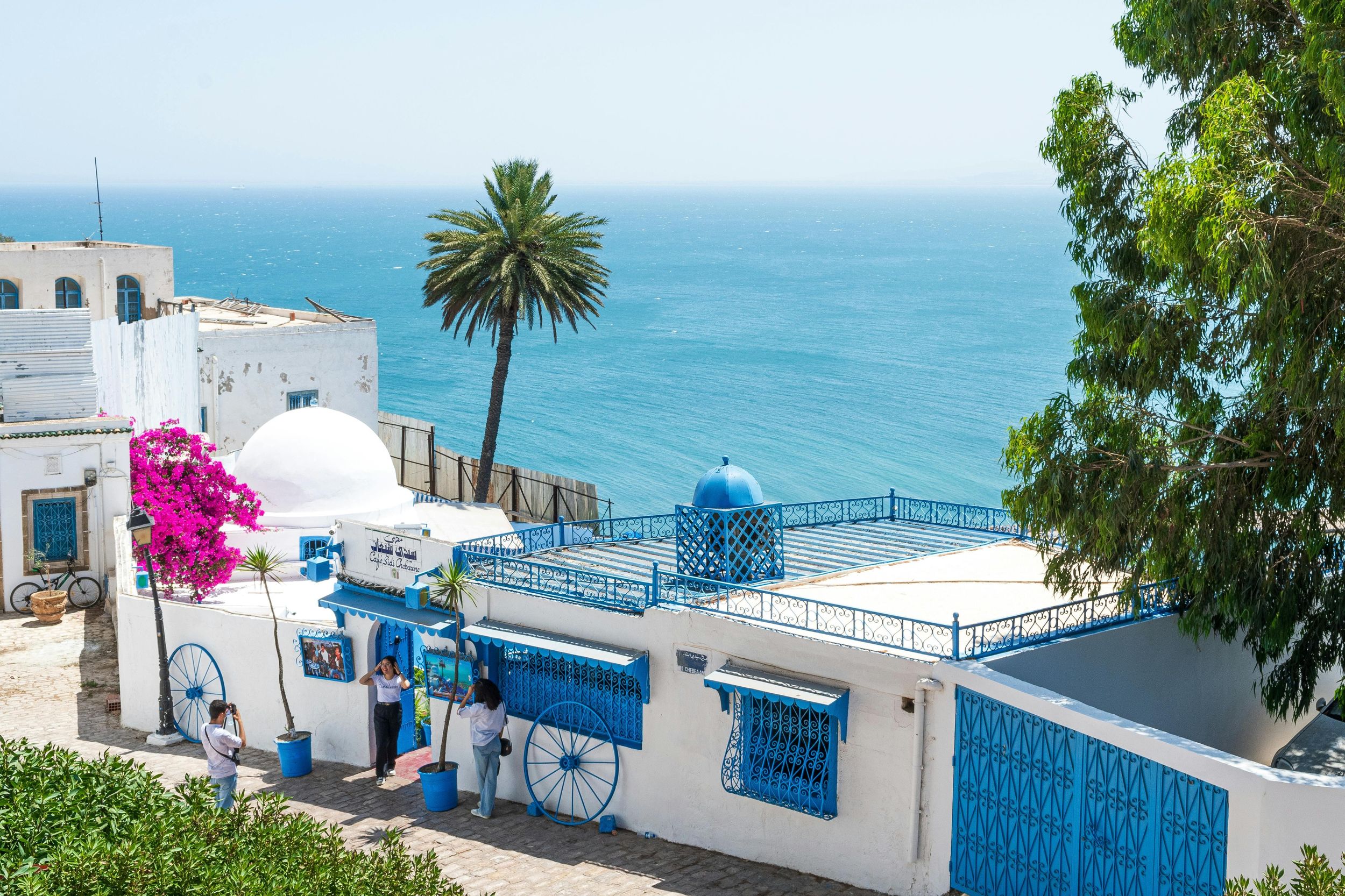 Tunis: Private Tagestour zur Medina, nach Karthago & Sidi Bou Saïd