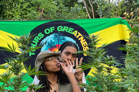 Marijuana Farm Tour From Falmouth/ Trelawny