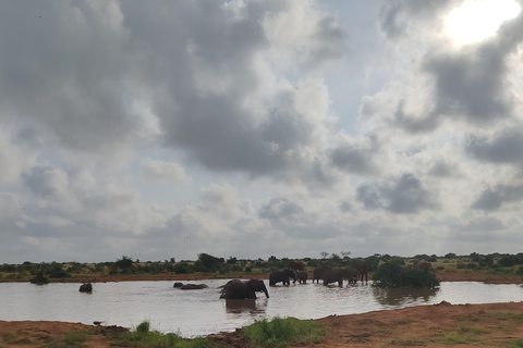 De Watamu: Safari de 2 dias no Parque Nacional Tsavo Este