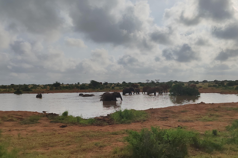 De Watamu: Safari de 2 dias no Parque Nacional Tsavo Este