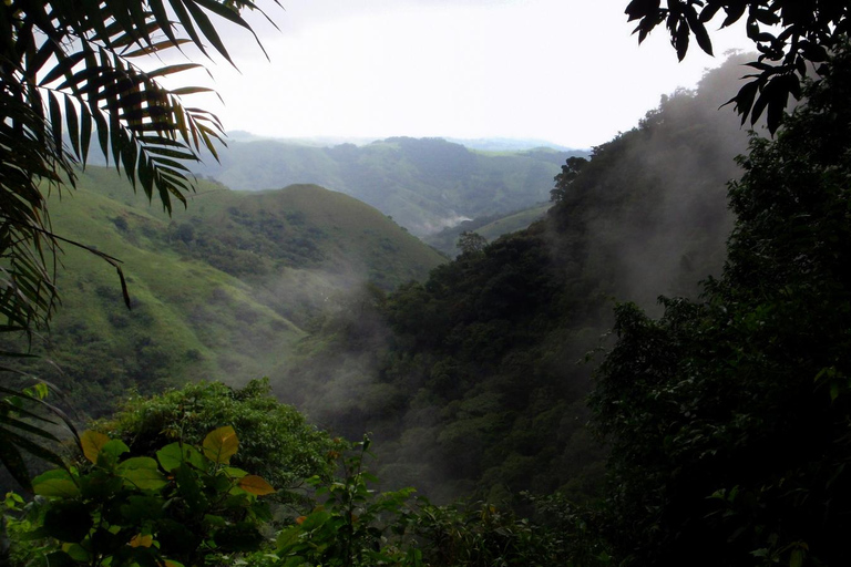 Monteverde: Monteverde Cloud Forest Canopy Adventure