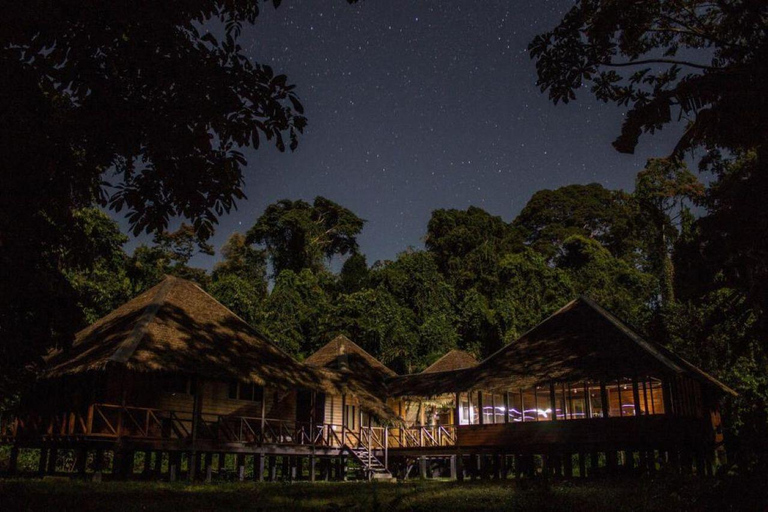 Cusco: Manu Reserved Zone 6-Day Amazon Jungle Expedition