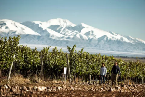 Vinhos e espumantes
