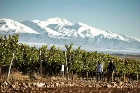 Wines and Sparkling