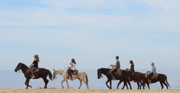 Cabo San Lucas: Horseback Riding Adventure