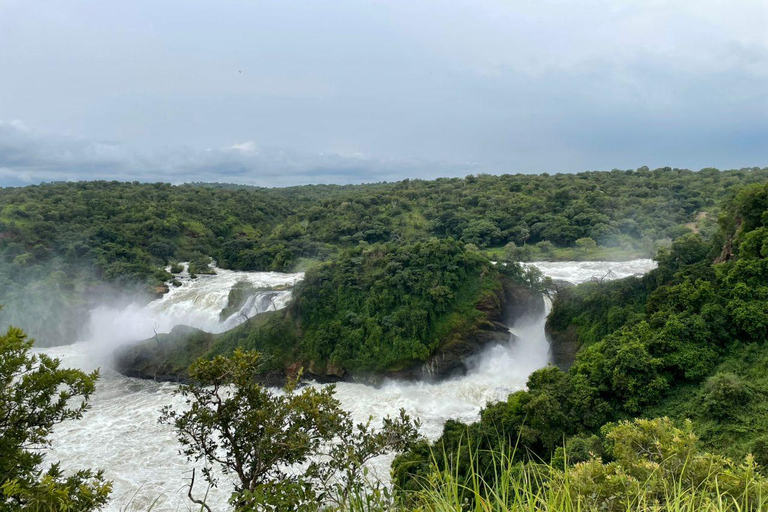 乌干达：2 天基巴莱黑猩猩徒步之旅和默奇森瀑布乌干达：基巴莱、塞穆利基和默奇森瀑布 3 日游
