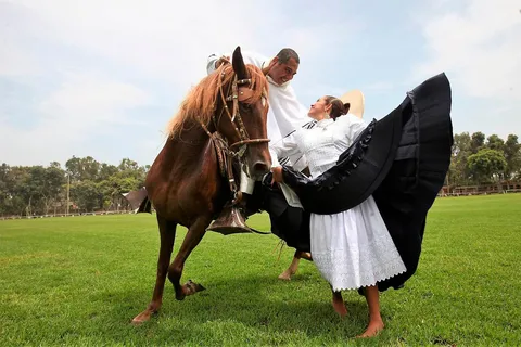 Lima: Almoço buffet, espetáculo de dança : Cavalos de Paso Peruanos :
