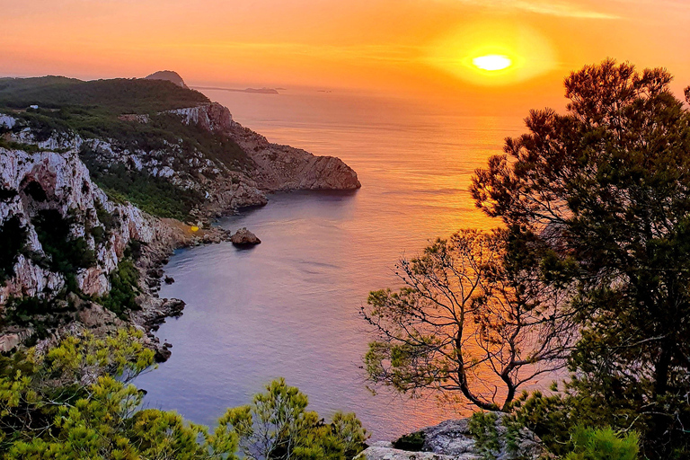 Ibiza: Private Hiking Tour with Local Guide