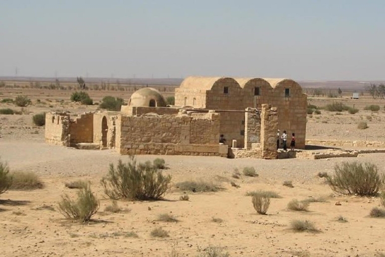Ammán - Excursión de un día a los Castillos del Desierto y la Reserva del Humedal de AzraqAmmán,Castillos del Desierto,Reserva del Humedal de Azraq BUS ( 10 pax )