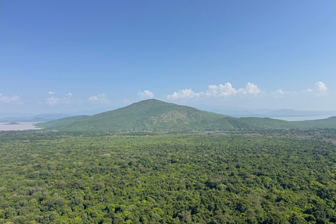 Addis Ababa: 9-Day Coffee Plantation Tour with Lodging