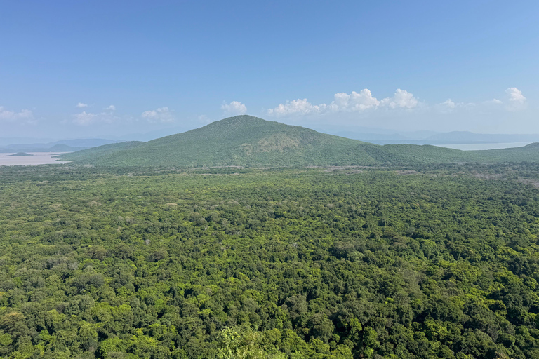 Addis Ababa: 9-Day Coffee Plantation Tour with Lodging