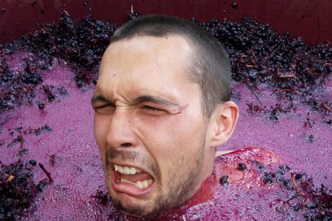 Beziers: Eco Wine Tasting at Sarabande Wines Off-Grid Winery