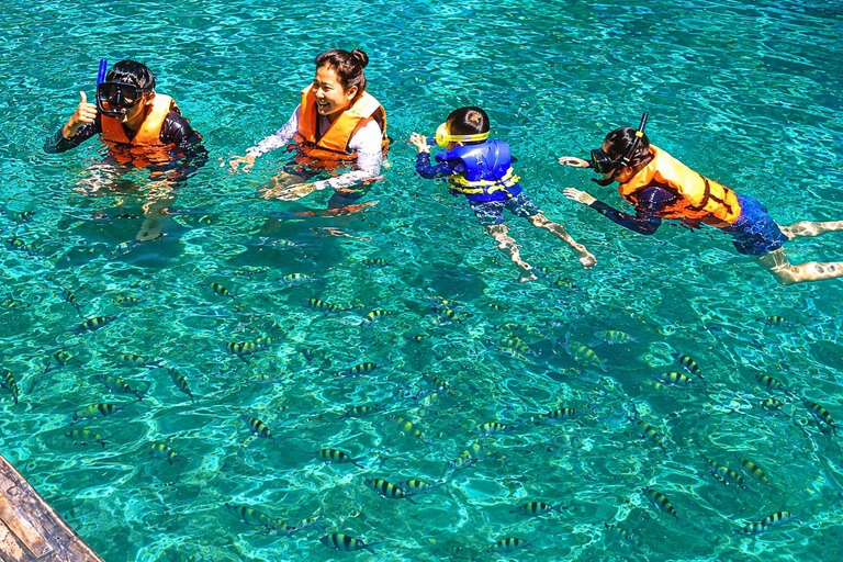 From Krabi: Phi Phi, Maya Bay & Bamboo Island Speedboat Tour