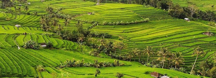 Bali : Visite du temple Ulun Danu Beratan et des rizières en terrasses de l'UNESCO