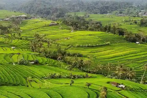 Bali : Ulun Danu Beratan Temple and UNESCO Rice Terrace Tour