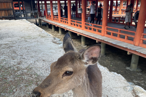 Hiroshima y Miyajima Satisfactorio Tour Privado de Gemas con Local 7h