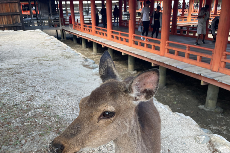 Hiroshima & Miyajima Befriedigende private Gem Tour mit Einheimischen 7h