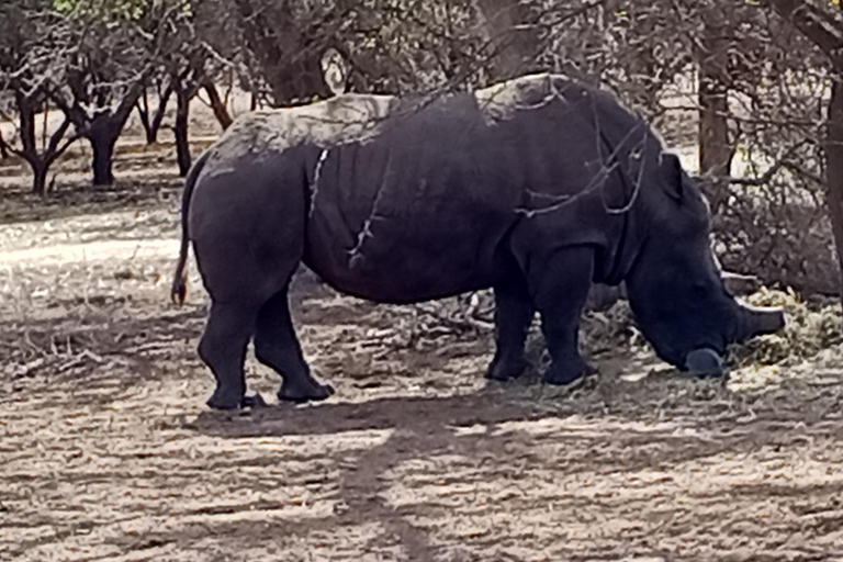 From Dakar: Bandia Reserve Safari and Pink Lake Tour