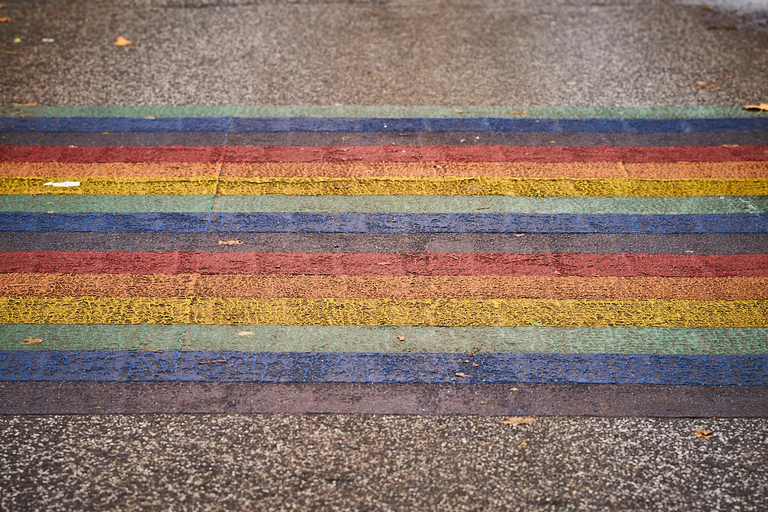 City tour through Hamburg St. Georg – dreams, diversity, and tolerance Guided tour of Hamburg's St. Georg district – dreams, diversity, and tolerance