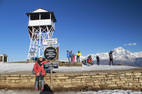 Pokhara: 1 Day Poon Hill Sunrise Hike with Transfer