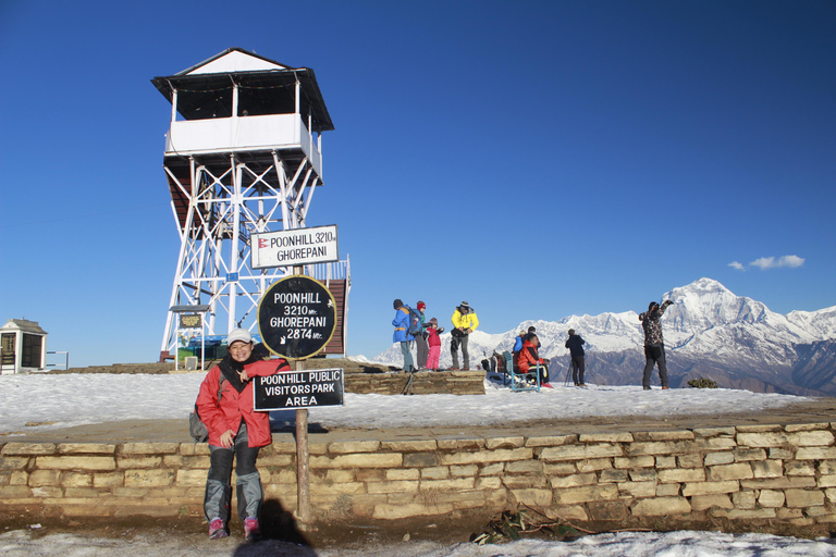 Pokhara: 1 Day Poon Hill Sunrise Hike with Transfer
