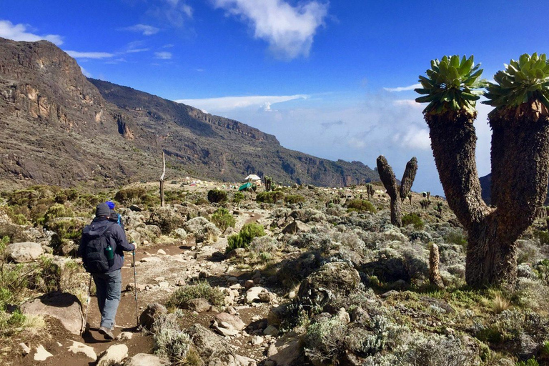 7 Days 6 Nights Machame Route-Kilimanjaro Climbing