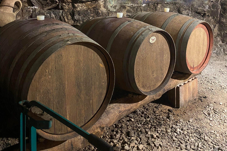 Mozzarella Gnocchi and Tiramisù Workshop in Amalfi Coast