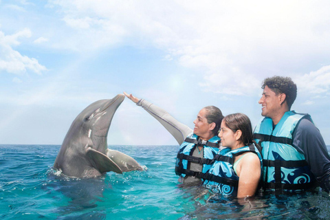 Cancun: Royal Garrafon Park Entry & Dolphin Encounter