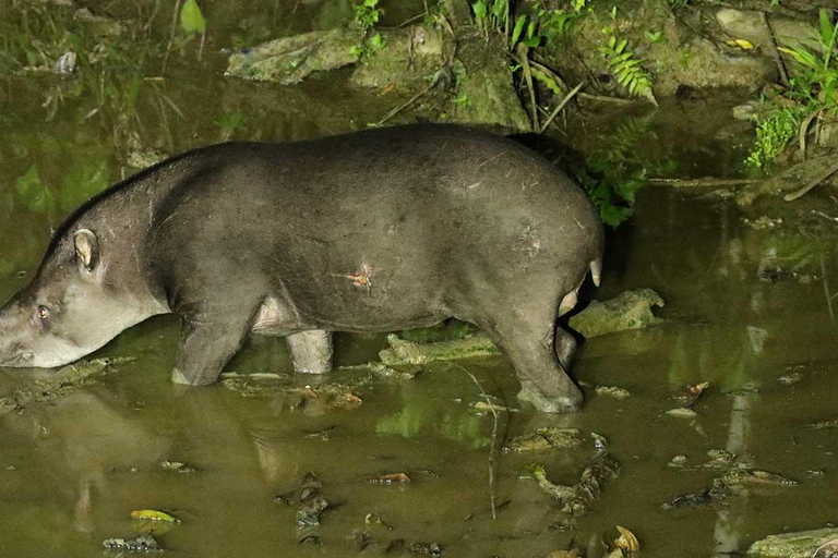 TOUR DELLA RISERVA DEL PARCO DI MANU 6D - 5N